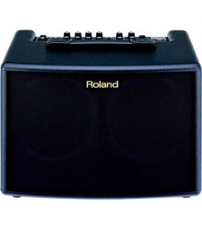 Roland AC60 Acoustic Guitar Amplifier 